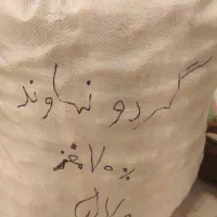 گردو کاغذی نهاوند همدان|خوردنی و آشامیدنی|نجفآباد, جلال آباد|دیوار