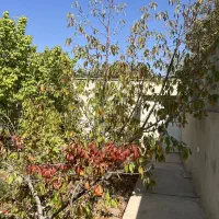 خانه باغ در راین|فروش خانه و ویلا|راین, |دیوار