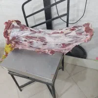 گوشت بچه شتر