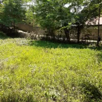 زمین ۸۴۰ متری در جاده ماسوله|فروش زمین و ملک کلنگی|ماکلوان, |دیوار