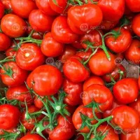 گوجه گیلاسی