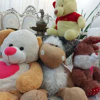 عروسک های بزرگ و سالم