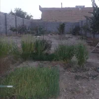 زمین مسکونی چهار دیواری مناسب خانه باغ در پیربکران|فروش زمین و ملک کلنگی|پیر بکران, |دیوار