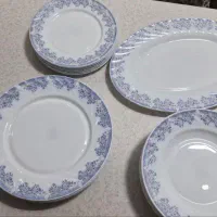 سرویس آرکوپال chinbull