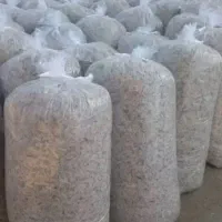 افزایش شیر وزن کلسیم تفاله چغندر