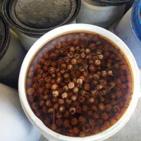 ترشی گل سیر