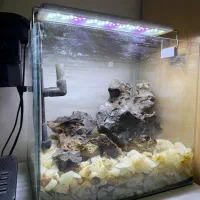 آکواریوم ماهی