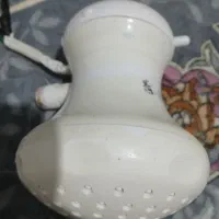 سر دوش برقی