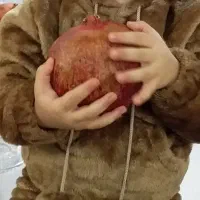 تدی شلوار بچه گانه رنگ اسپرت