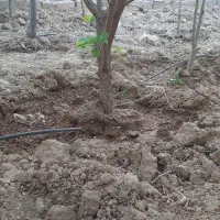 لوله کشی پلی ایتلن|خدمات پیشه و مهارت|خمینیشهر, |دیوار