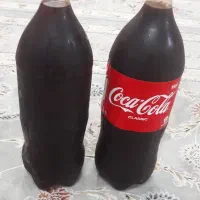 ترشی کندس ارگانیک