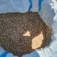 نخود ریز محلی
