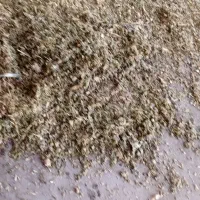 علوفه دام.سیلو