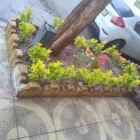 خدمات باغبانی گلفروشی کشاورز