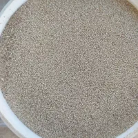 بذر گوجه ای وسفیدبشرط