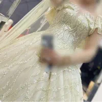 لباس عروس نباتی وارداتی ترک|لباس|تهران, نازی‌آباد|دیوار