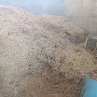 کاه|لوازم جانبی حیوانات|جره و بالاده, |دیوار