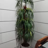 گل مصنوعی کاملا سالم