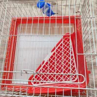 قفس خرگوش