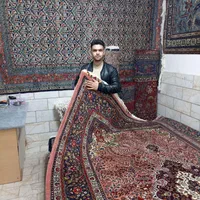 9متری کرمان قلم(نو)مارک یاسین زاده|فرش|خوی, |دیوار