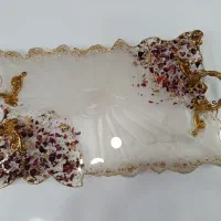 سینی تمام رزینی