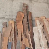 هیزم گردو