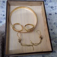 ۱۴گرم و ۳۱۰ صوت طلا