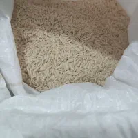 برنج دمسیاه