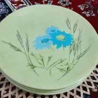 پلوخوریهادونه 50تومن