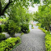 یه شماله و یه تراسه جنگلی/با همچین حیاط سرسبزی|فروش خانه و ویلا|چمستان, |دیوار