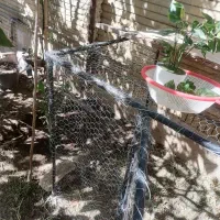 ۲ تا قفس بزرگ سالم|لوازم جانبی حیوانات|شیراز, طلاب|دیوار