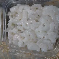 میگو سرتیز جنگل|ماهی|قشم, |دیوار