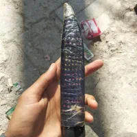 چاقو ایرانشهری|کلکسیون اشیاء عتیقه|زاهدان, |دیوار