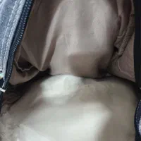 کوله پشتی|کیف، کفش، کمربند|کرمان, |دیوار