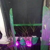 مداح اهل بیت علیهم السلام(مداح خانم)|خدمات پذیرایی، مراسم|اردبیل, |دیوار