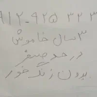 چند سال خاموش