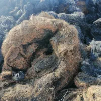 سیم سوخته لاستیک|فعالیت داوطلبانه|فردوسیه, |دیوار