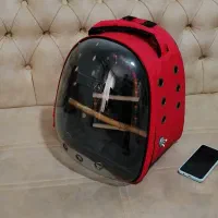 کوله حمل حیوانات