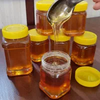 عسل شفا|خوردنی و آشامیدنی|تهران, سوهانک|دیوار