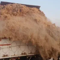 کاه نیشکر|لوازم جانبی حیوانات|بوئین زهرا, |دیوار