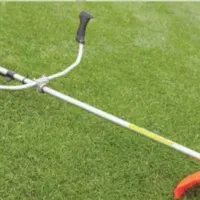 علف زنی انواع زمین باغ و ویلا|خدمات باغبانی و درختکاری|رشت, رودباری|دیوار