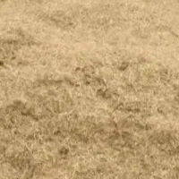 کاه گندم قرمز خرمن کوب