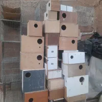 تعدادی لونه طوطی سانان و آبخوری و دونخوری