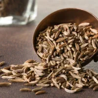 استقلال مالی برای بانوان