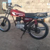 کفتر|پرنده|کرباسک, |دیوار