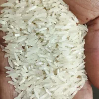 برج فجر سوزنی 120روزع اعلا شمال|خوردنی و آشامیدنی|بندرعباس, |دیوار