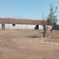 مشارکت در گاوداری پرواربندی گوساله گاوداری شخصی|مشارکت در ساخت املاک|تهران, ائمه اطهار|دیوار
