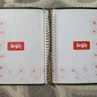کلاسور