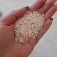 برنج پاکستانی سوپر باسماتی