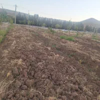 باغ ۴۵۰۰ بر اصل جاده سراب نیلوفر|فروش زمین و ملک کلنگی|کرمانشاه, |دیوار